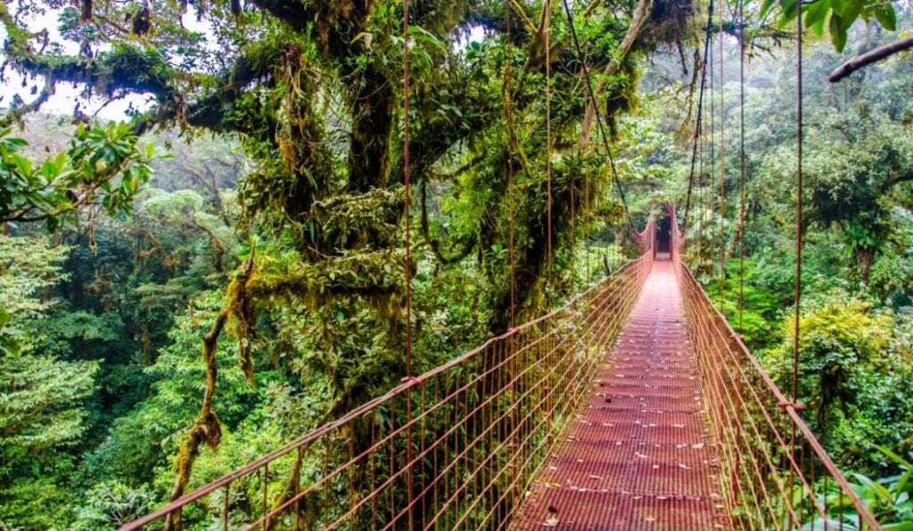 Costa Rica puentes colagantes