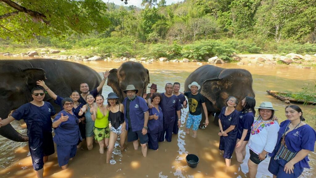 Campamento de elefantes en Tailandia